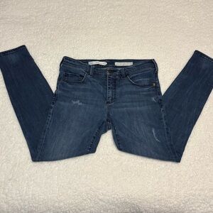 Anthropologie Pilcro and the Letterpress Women Denim Skinny Jeans